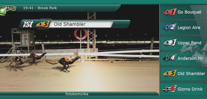 Kierownice do gier wyścigowych