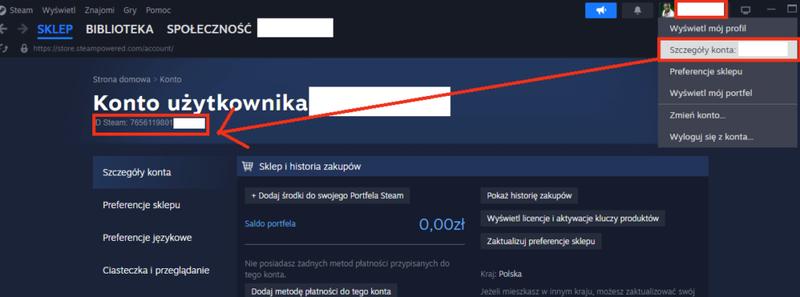 Bezpieczeństwo konta Steam
